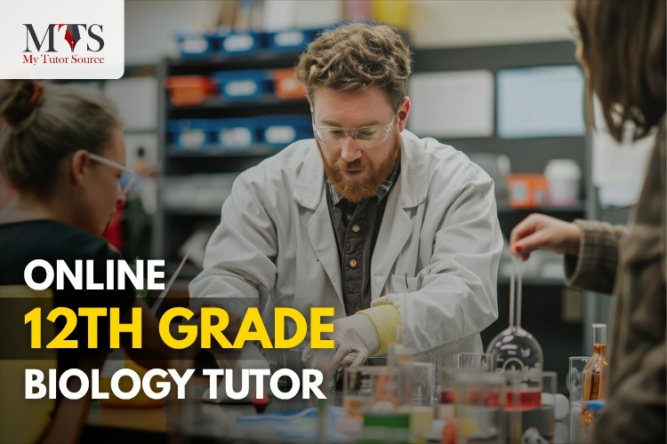 Hire Top Online Biology Tutors for 12th Grade Students